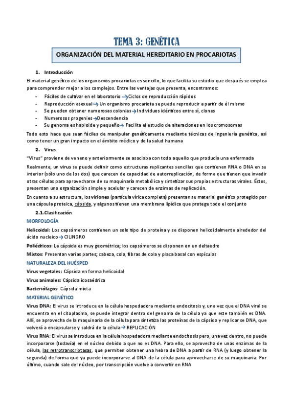 TEMA-3.pdf