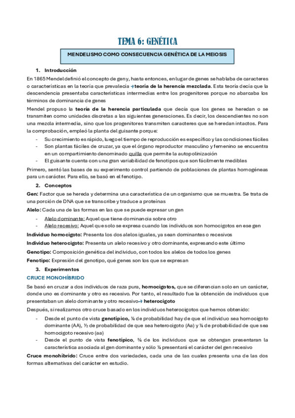 TEMA-6.pdf
