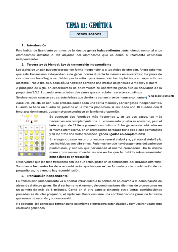 TEMA-11.pdf