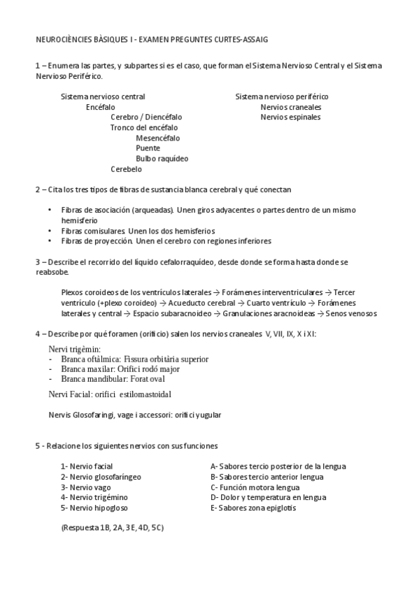Assaig-NEUROANATO-1o-med-upf-23-24.pdf