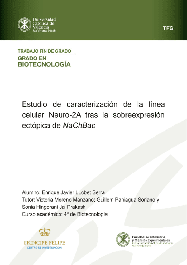 EnriqueLlobetTFG.pdf