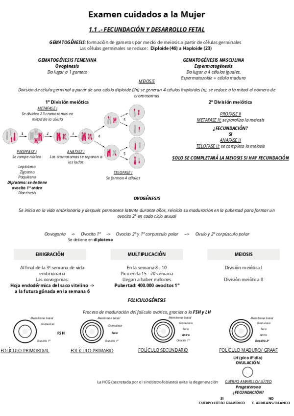 RESUMEN-Examen-cuidados-a-la-Mujer.pdf