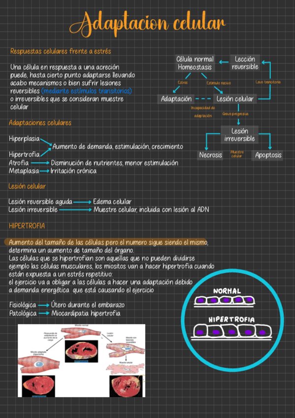 Adaptacion-celular.pdf