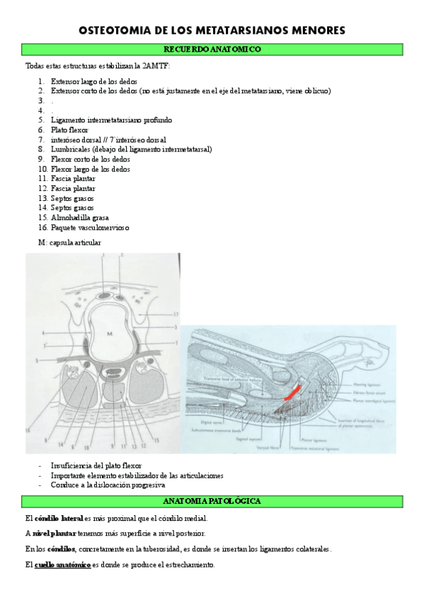 TEMA-12-OSTEOTOMIA-DEDOS-MENORES-CIRUGIA-II.pdf