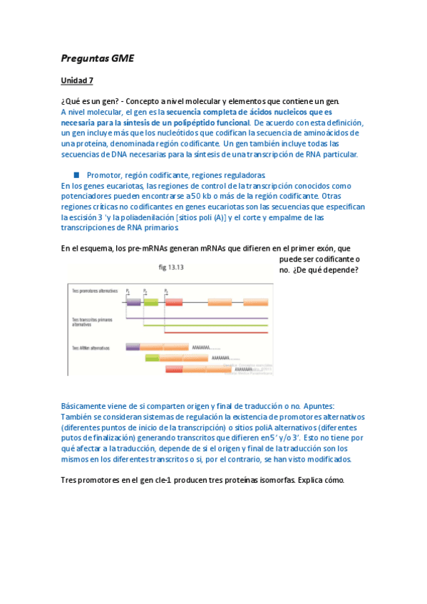 Perguntas-redactar-1.pdf
