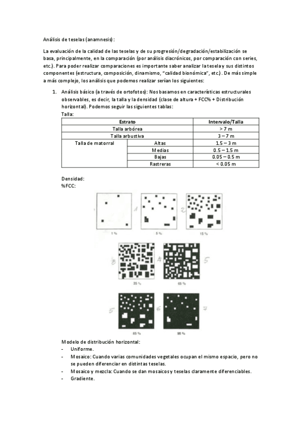 Análisis de teselas.pdf