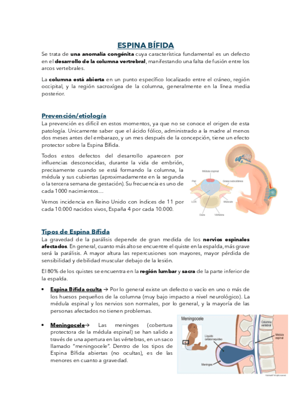 6.-ESPINA-BIFIDA.pdf