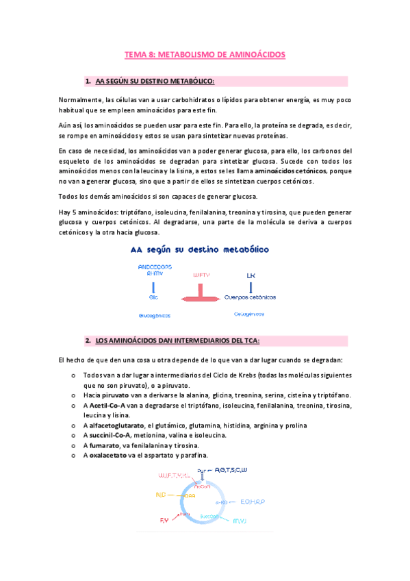 tema-8-bioquimica.pdf