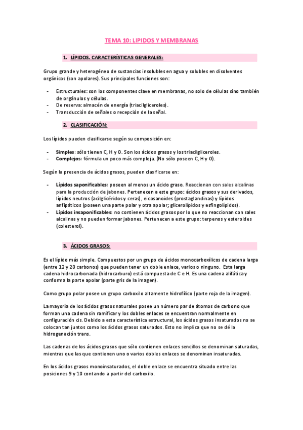 Tema-10.-Lipidos-y-membranas.pdf