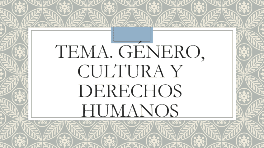 Tema-Genero-Cultura-y-DDHH.pdf