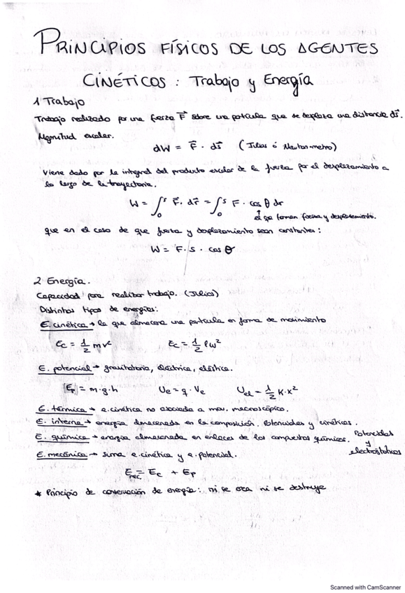 APUNTES-BASES-TEORICAS.pdf