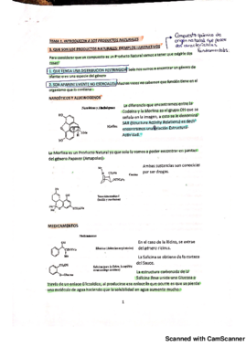 Tema 1.pdf