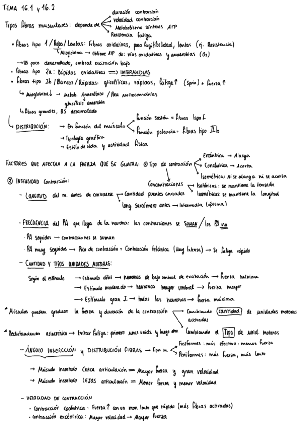 ESQUEMAS-FISIO-PARCIAL-2-FINAL.pdf