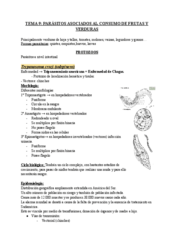 TEMA-9-PARASITOS-ASOCIADOS-AL-CONSUMO-DE-FRUTAS-Y-VERDURAS.pdf