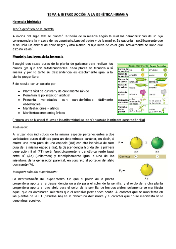 T1Introduccion-a-la-genetica-humana.pdf