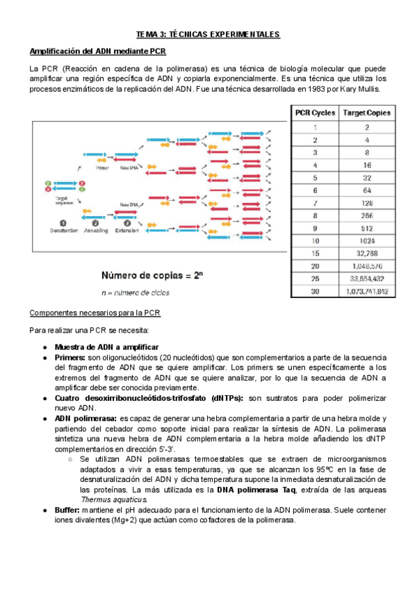 T3Tecnicas-experimentalesse-programa-el.pdf