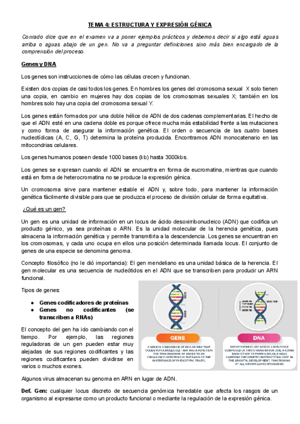 T4Estructura-y-expresion-genica.pdf