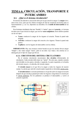 TEMA 6.pdf