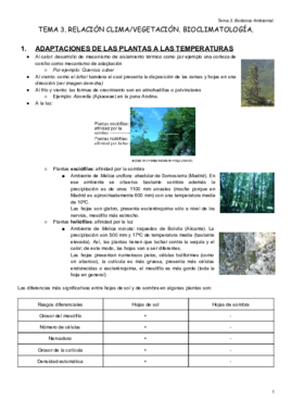 Tema III..pdf