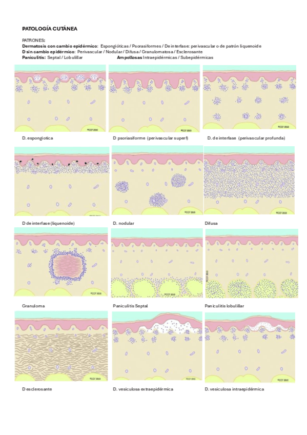 PATOLOGIA-CUTANEA.pdf