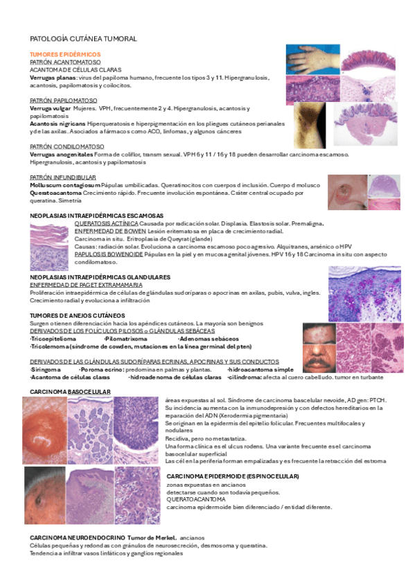 PATOLOGIA-CUTANEA-TUMORAL.pdf