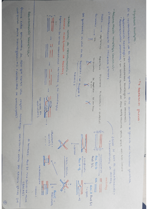 Tema4.pdf