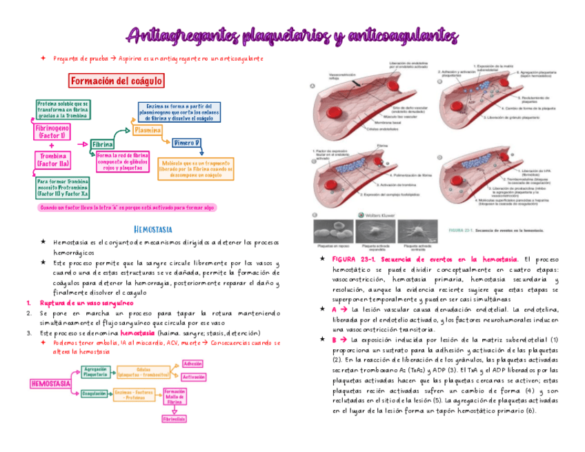 Antiagregantes-plaquetarios-y-anticoagulantes.pdf