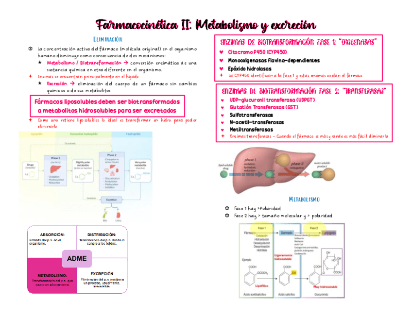 Farmacocinetica-2.pdf