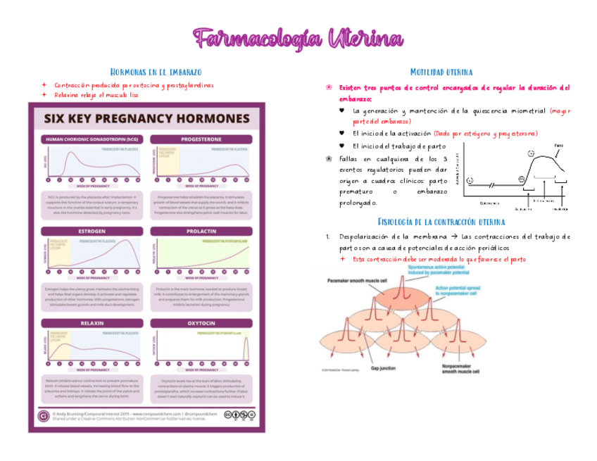 Farmacologia-Uterina.pdf