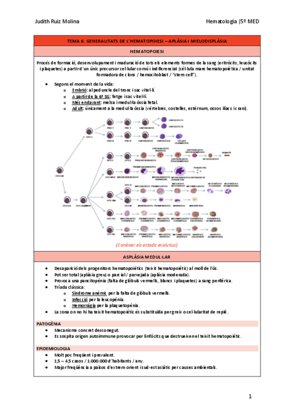 TEMA-6.-APLASIA-I-MIELODISPLASIA.pdf