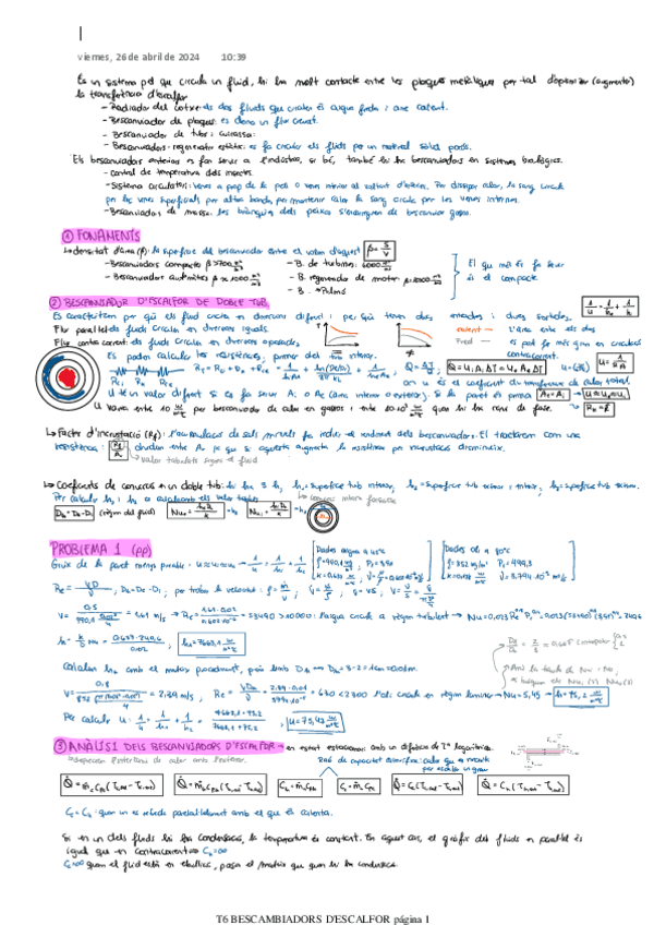 T6-BESCAMBIADORS-DESCALFOR.pdf