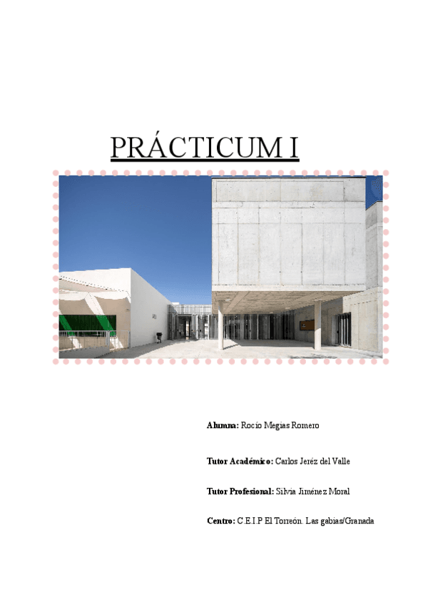 PRACTICUM-I.pdf