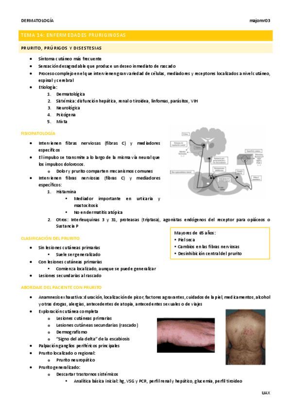 Tema-14-Enfermedades-pruriginosas.pdf