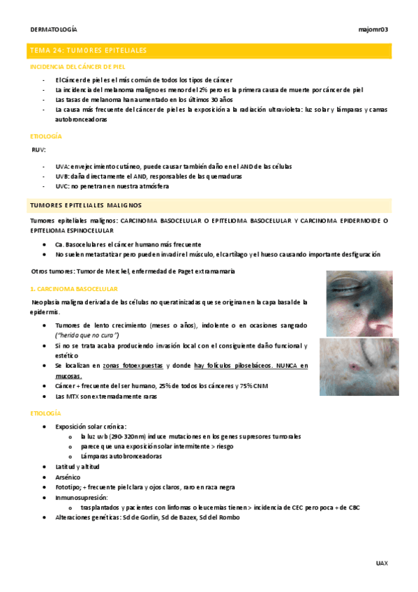 Tema-24-Tumores-epiteliales.pdf