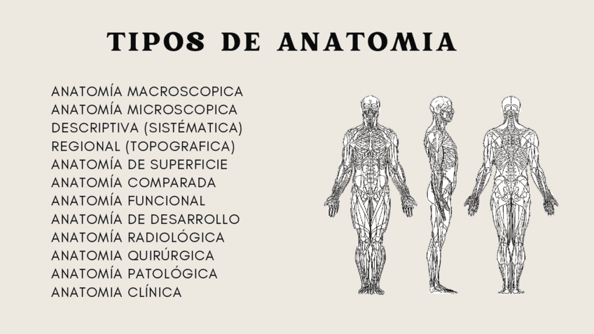 Apuntes-de-Medicina.pdf