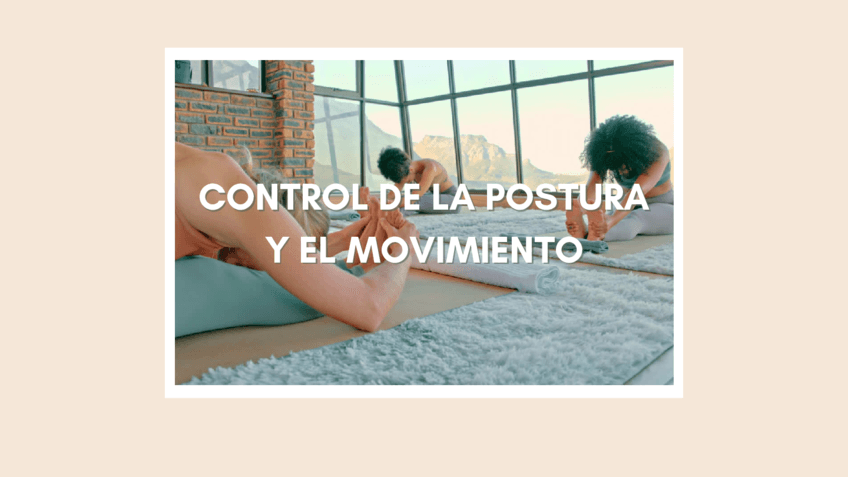 Control-de-la-postura-y-el-movimiento.pdf