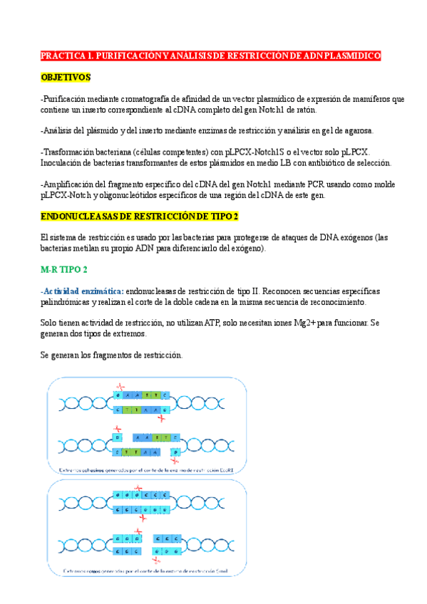 Resumen-Practicas.pdf