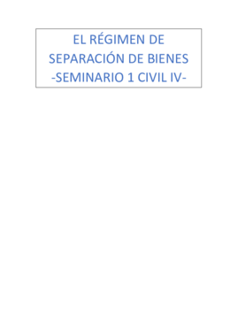 Seminario 1 - Civil IV.pdf