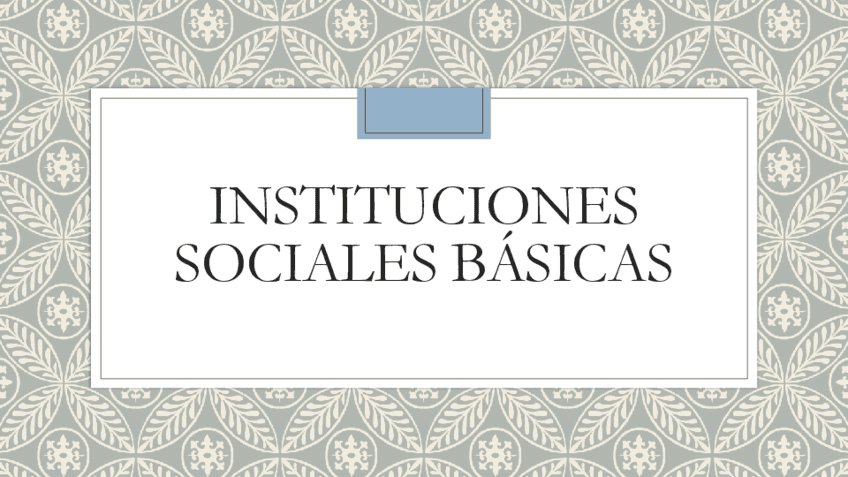 Instituciones-sociales-basicas.pdf