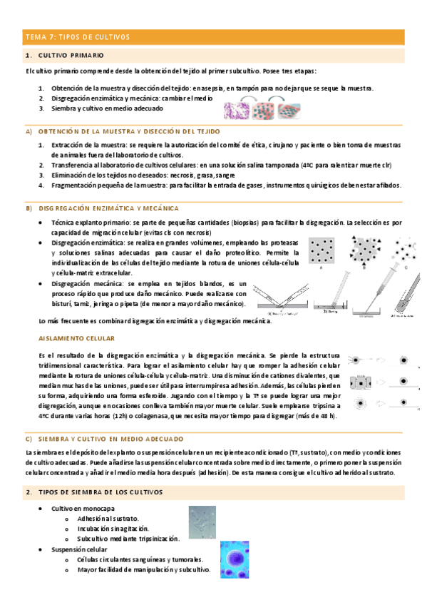 TEMA-7-CULTIVOS.pdf