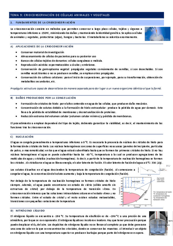 TEMA-9-CULTIVOS.pdf