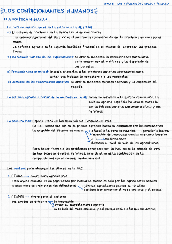 APUNTES-GEOGRAFIA-SECTORES.pdf