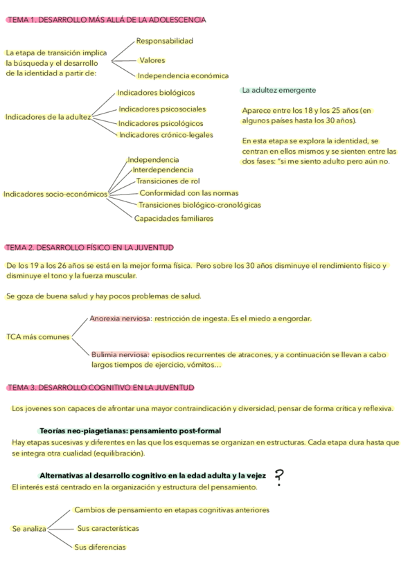 APUNTES-SUPER-RESUMEN-PDD2.pdf