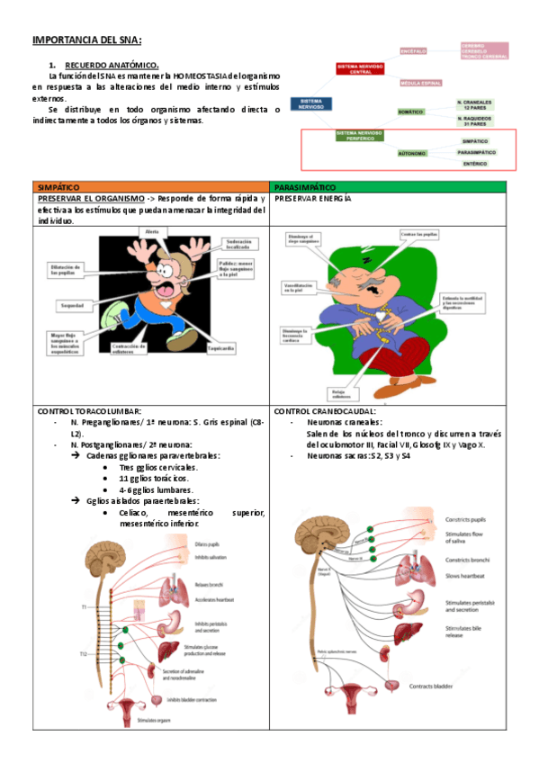 21.-Redactado-IMPORTANCIA-DEL-SNA.pdf