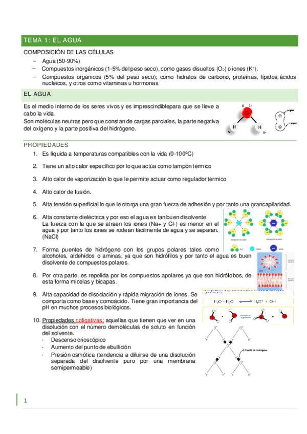 Tema-1-5-bioqui.pdf