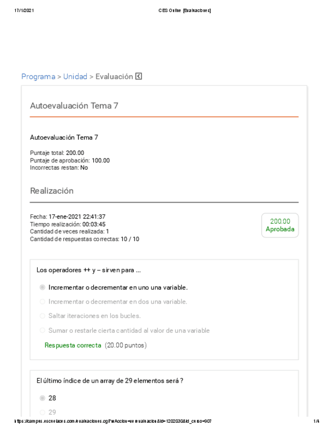 RPMI-Autoevaluacion-Tema-7.pdf