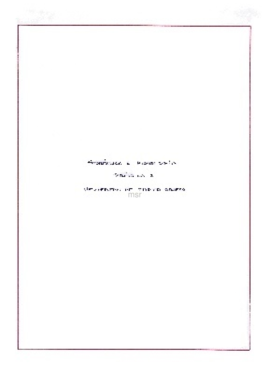 Práctica 2 SN WM.pdf