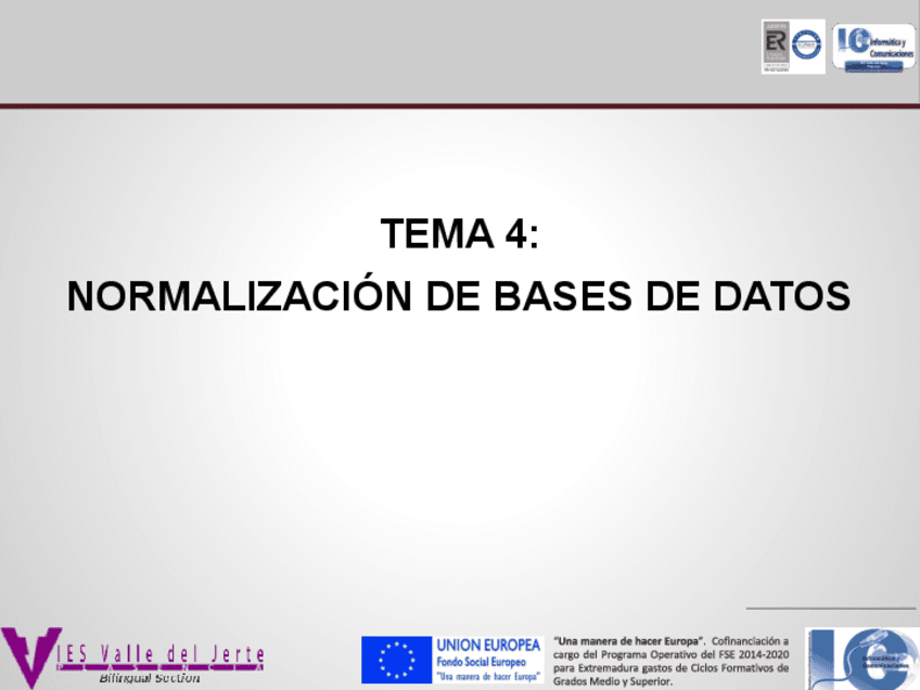 1-Normalizacion-de-bases-de-datos-Actualizada-1.pdf