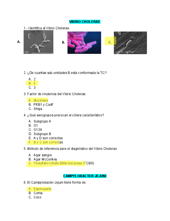 Microbiologia.pdf