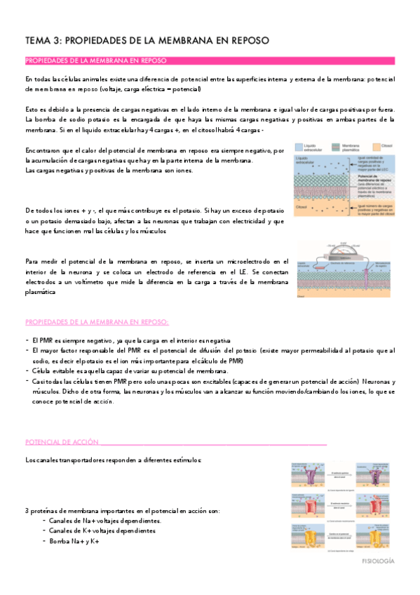 TEMA-2-FISIO.pdf